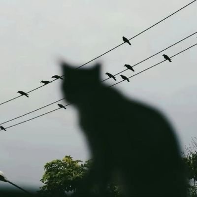 00__0__00_'s profile picture. 世俗欲望