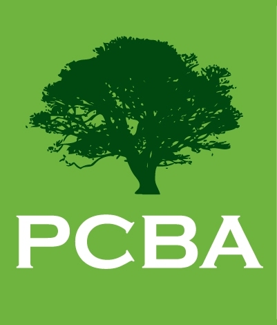 PCBA
