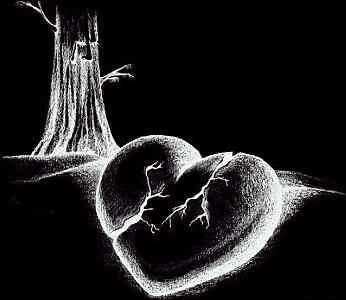 Rafael8927's profile picture. 