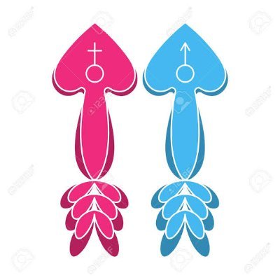 Alexand61866288's profile picture. Me gusta vivir la vida al tope ..casada 
Bisexual