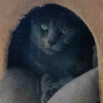 PMotofa1445's profile picture. 