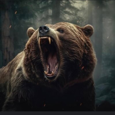 h1t1k's profile picture. 🇪🇺🗑️ FREXIT €xit OTANxit