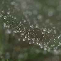 Mimakter63636 (@mim_akter3825) 's Twitter Profile