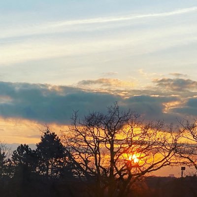 fi_kli's profile picture. PhD on Electrical Engineering, IOT and Data science