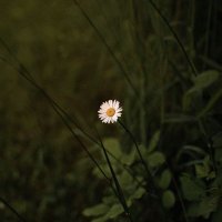 مُــزْنَـة🔻 (@raineyy_cloud) 's Twitter Profile