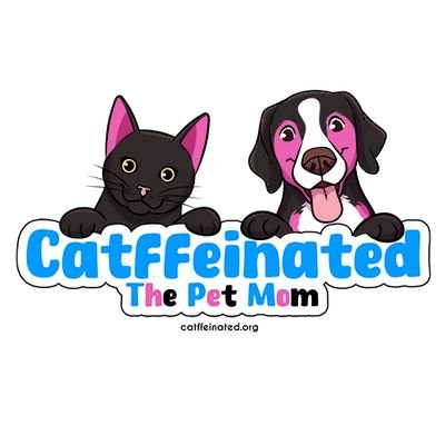 CatffeinatedPet's profile picture. 😻🐶 Transforming tails into confident heroes. Personal growth for dogs, cats & their humans to empower, heal & connect.
📍Vancouver & Online 🇨🇦👇