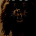 The lion in the jungle (@n69913nimana) Twitter profile photo The lion in the jungle (@n69913nimana) Twitter profile photo