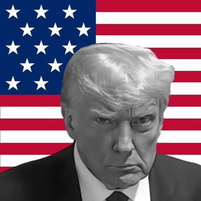 TRUMPNS's profile picture. NEVER SURRENDER!🇺🇸 Donald's Trump 2024 slogan after the jury found him guilty of 34 charges. https://t.co/74lohHEkMG Not affiliated with Donald Trump