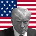 NEVER SURRENDER 🇺🇸 $TRUMP (@trumpns) Twitter profile photo