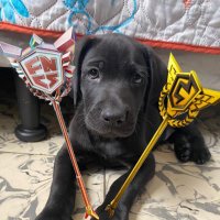oskiyy (@oskiyy) 's Twitter Profile