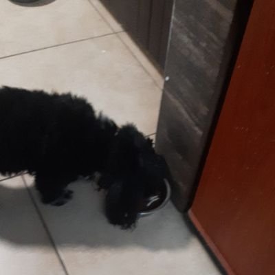 LorenaG96983294's profile picture. 