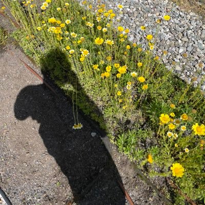 t3dblgo_'s profile picture. Edward; 20. Chef on sabbatical/ suffering! I’d like to get into singing or maybe modeling/acting