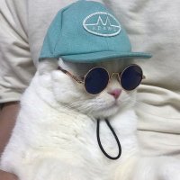 average landman (@average_landman) 's Twitter Profile