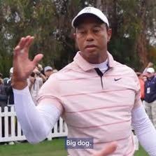 sports, golf, sports betting, general degeneracy, and screaming into the void