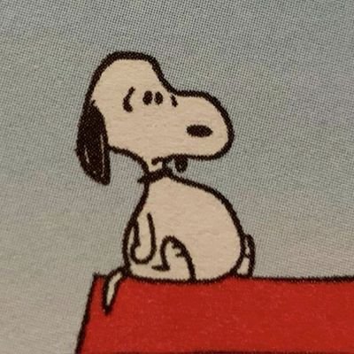 timbudonautico's profile picture. 