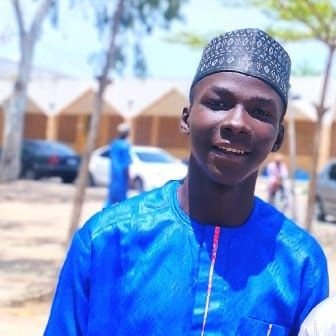 AdamuMakalewa's profile picture. 