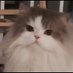 Liufuli123 (@liufuli12360062) Twitter profile photo Liufuli123 (@liufuli12360062) Twitter profile photo