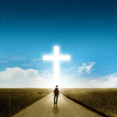 WildLinerCorp's profile picture. 