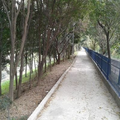 mirantedalapa's profile picture. Perfil destinado a info sobre dogging na praça Mirante da Lapa - SP