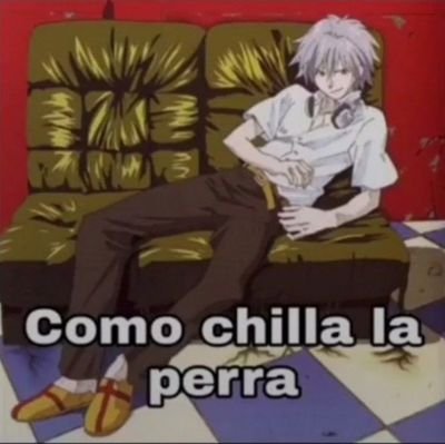 Cállate el hocicoさんのプロフィール画像