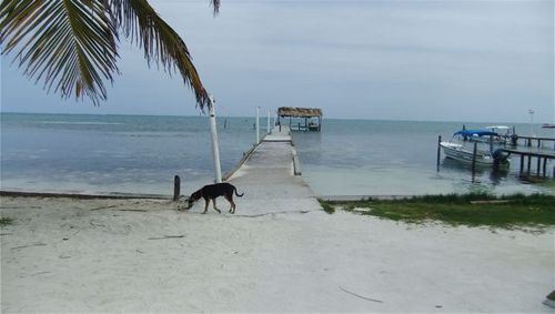 patoddcincy's profile picture. Dedicated to crowd funding and innovated products along with the people who create them.