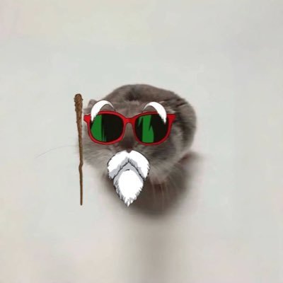 flonk_inu's profile picture. web3 enthusiast