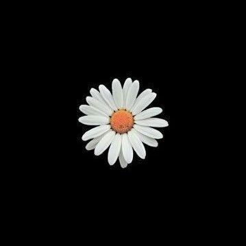 FoolproofF78874's profile picture. Corporate Lawyer. Generally enthusiast in politics, economics and cricket. Views are strictly personal.