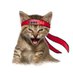 CryptoMeww (@cryptomeww) Twitter profile photo CryptoMeww (@cryptomeww) Twitter profile photo