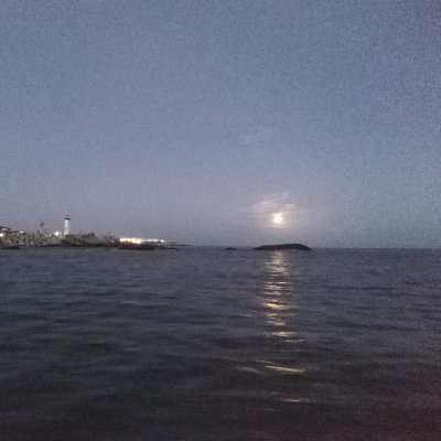 ShinHui1182075's profile picture. #VERTICALNFT