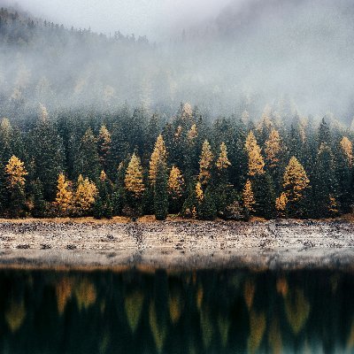 harvey_wya76351's profile picture. follow Back💯💯💯💯💯💯💯💯💯💯💯💯💯