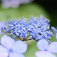 kaizkaphoto❀ (@kaizkaphoto) 's Twitter Profile