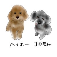 コロコロコロたん🌈&ヘイヘイヘイホー🐾 (@kazufo3669) 's Twitter Profile