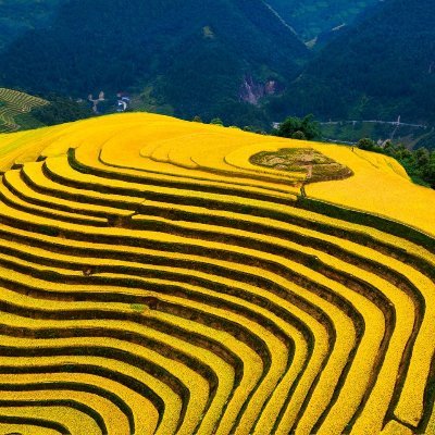 A local Travel Company organizes Vietnam, Laos, Cambodia and Myanmar custom-made tours and package tours for individuals and big groups .