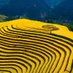 WaytoVietnam Travel (@w2vietnamtravel) Twitter profile photo WaytoVietnam Travel (@w2vietnamtravel) Twitter profile photo