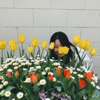 Yukari6_9 (@yukari6_9) 's Twitter Profile