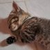 Agung Sunarno ๐ฒ๐จ๐ธ๐ฉ (@gungsunarno) Twitter profile photo Agung Sunarno ๐ฒ๐จ๐ธ๐ฉ (@gungsunarno) Twitter profile photo
