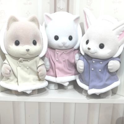らうい:固ﾂｲ必読さんのプロフィール画像