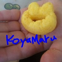 かにくりぃむのころっけ (@_koyamaru) 's Twitter Profile