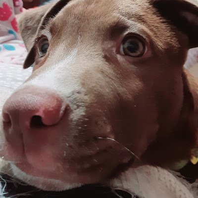 GilbertZam48139's profile picture. 