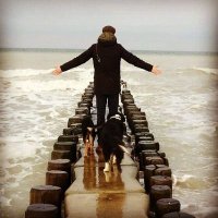 Hai 5 🦈 (@suedallee) 's Twitter Profile Photo Hai 5 🦈 (@suedallee) 's Twitter Profile Photo