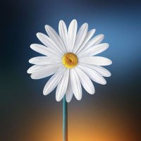 sandrina#ItaliaViva (@sandrin33744286) 's Twitter Profile