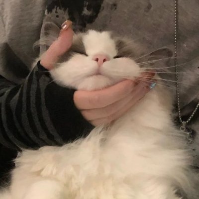 Selvyさんのプロフィール画像