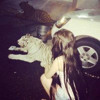 Lama (@lamaio10) Twitter profile photo