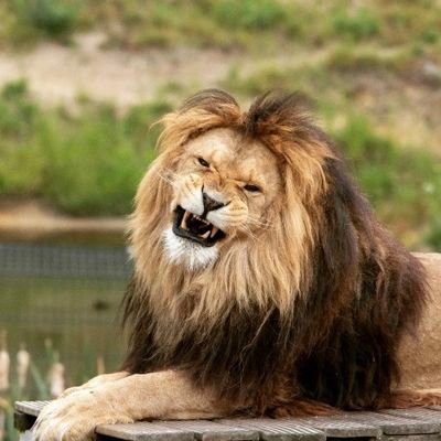 Avdgpictures's profile picture. Fotografie is mijn grootste liefhebberij, de camera gaat dan ook overal mee naartoe 
#Sliedrecht