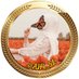 •خـــچـــڵᥫ᭡فّـّـــرّٱﺷ̲ـــھۃ🦋🇮🇶ꨄ ⃤ (@ah4_5l) Twitter profile photo •خـــچـــڵᥫ᭡فّـّـــرّٱﺷ̲ـــھۃ🦋🇮🇶ꨄ ⃤ (@ah4_5l) Twitter profile photo