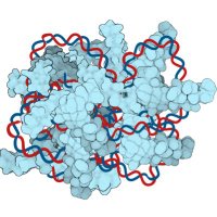 ETH Gene Delivery Group (ERC Advanced Grant IBAF) (@ethgenedelivery) 's Twitter Profile