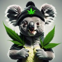 AussieTripa ๐ฆ๐บ๐๐ (@austripa) 's Twitter Profile