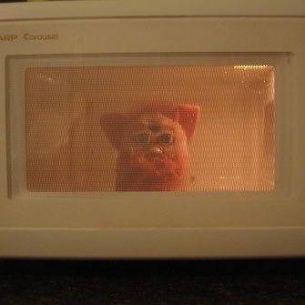 jmacyeet's profile picture. me and my husband we are doing better