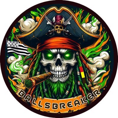 e.skipper Ballsbreaker 🇧🇪@virtualregatta #VROffshore au sein de la team les barjots pirates