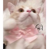 みさき (@aina_11178) Twitter profile photo